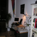 wohnung_09.jpg