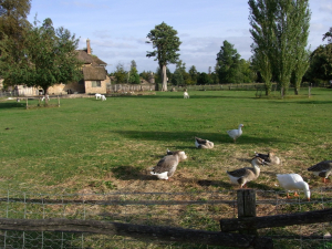 versailles_1009_17.jpg